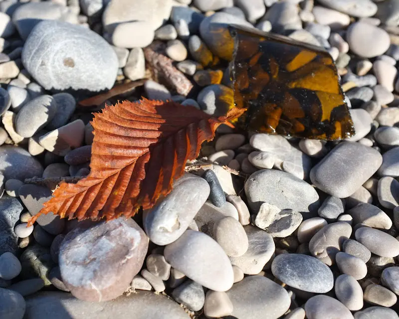 Herbstbilder von der Isar